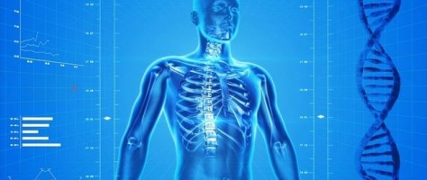 Plataforma usa inteligência artificial para calcular medidas corporais a partir de fotos