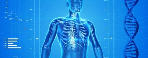 Plataforma usa inteligência artificial para calcular medidas corporais a partir de fotos