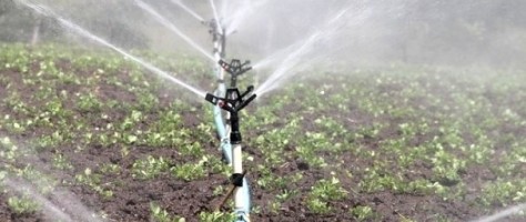 Internet of things platform helps producers plan water use