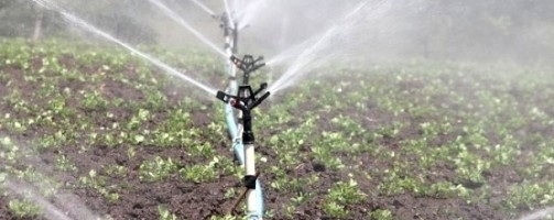 Internet of things platform helps producers plan water use