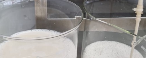 Biotech desenvolve tecnologia para produzir proteínas do leite sem vacas