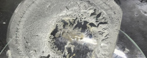 Plástico biodegradável feito de resíduos busca ajudar a reduzir impacto ambiental