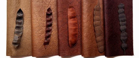 Biodiversidade brasileira dá origem a novos materiais têxteis