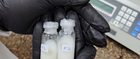 Do laboratório à clínica veterinária: nanotecnologia pode ajudar a tratar doenças crônicas em animais