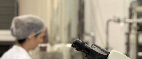 Levedura nacional pode reduzir custo da cerveja artesanal no Brasil