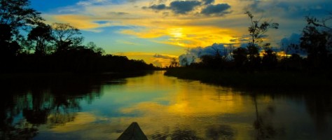 Pesquisadores mapeiam iniciativas na Amazônia que inspiram o futuro da inovação