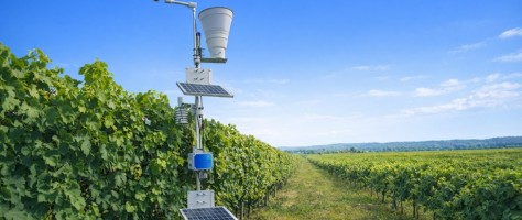 Inteligência de dados antecipa falta de água no campo
