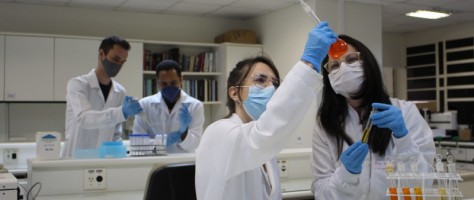 Brazilian nanotechnology enables precise treatment of skin diseases