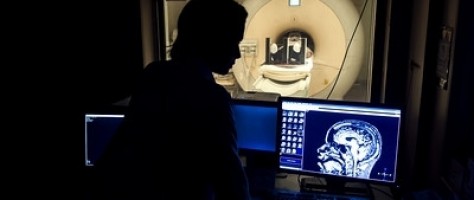 Genetic map produced in Brazil points to new avenues for treating Alzheimer’s