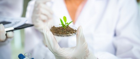 Capital natural pode ser diferencial competitivo para startups da América Latina 