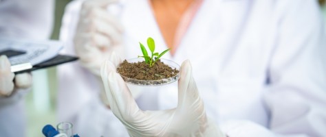Natural capital could give Latin American startups a competitive advantage
