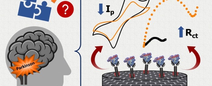 Sensor de baixo custo detecta Parkinson inicial em amostras biológicas