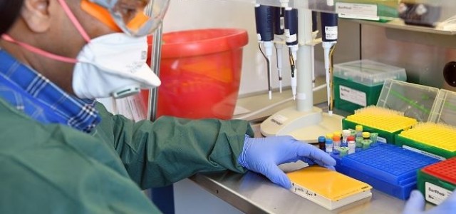 Por meio de um projeto apoiado pelo PIPE-FAPESP, empresa paulista está desenvolvendo um kit de diagnóstico da doença por RT-qPCR em que todas as reações ocorrem em único tubo <i>(foto: Wikimedia)</i>
