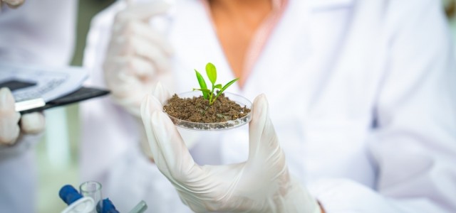 Relatório aponta que, em vez de competir em áreas como a inteligência artificial, empresas nascentes de base científica deveriam priorizar ativos estratégicos regionais, como a biodiversidade, para desenvolver soluções únicas, de difícil replicação global <i>(foto: Shutterstock); Pesquisador observa broto cultivado em placa de Petri</i> 
