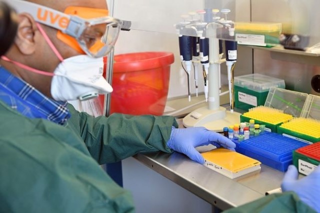 Por meio de um projeto apoiado pelo PIPE-FAPESP, empresa paulista está desenvolvendo um kit de diagnóstico da doença por RT-qPCR em que todas as reações ocorrem em único tubo <i>(foto: Wikimedia)</i>
